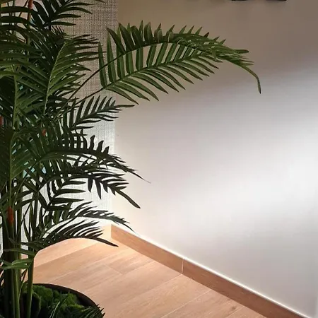 Casa Linda Baia 招待所 *