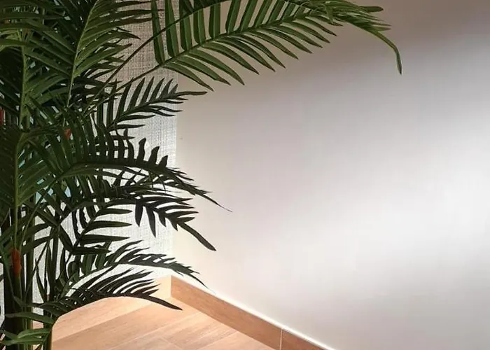 Casa Linda Baia 招待所 *